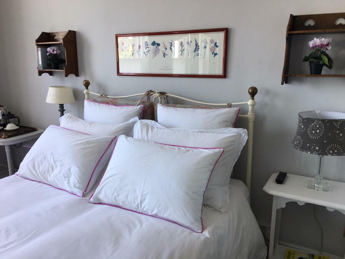 ヘイスティングス Anne'S House Bed & Breakfast エクステリア 写真